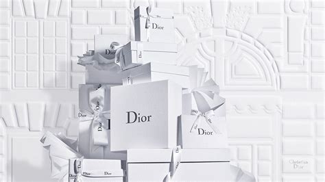 christian dior stall|dior official site usa.